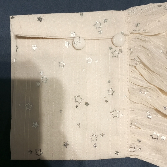 Sheer Blouse - Picture 3 of 3